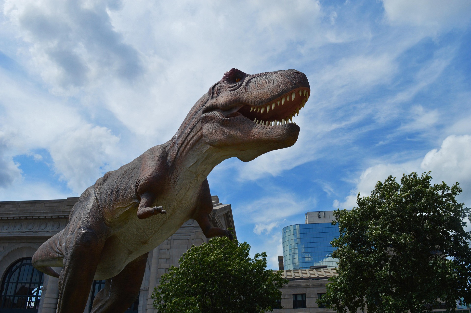 Dinoszauruszok: A földtörténet titokzatos urai