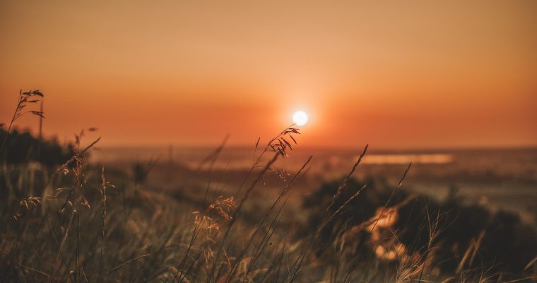 🌿 Július és a természet közelsége