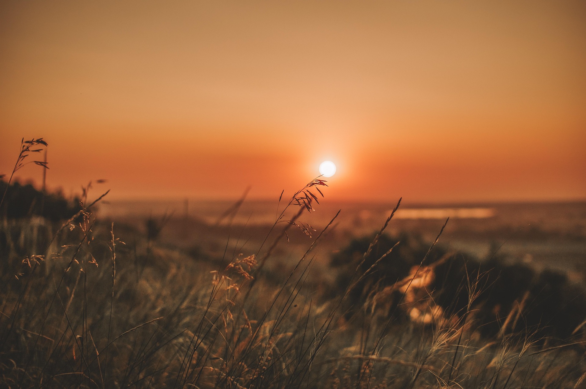 🌿 Július és a természet közelsége