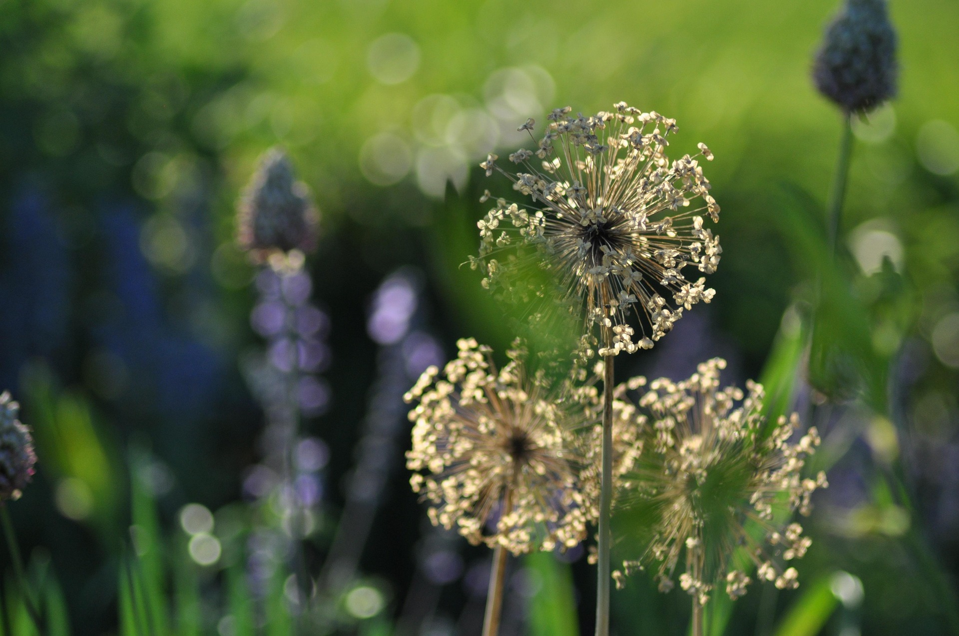 Az augusztus emlékei